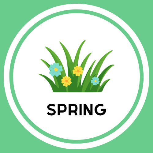 spring